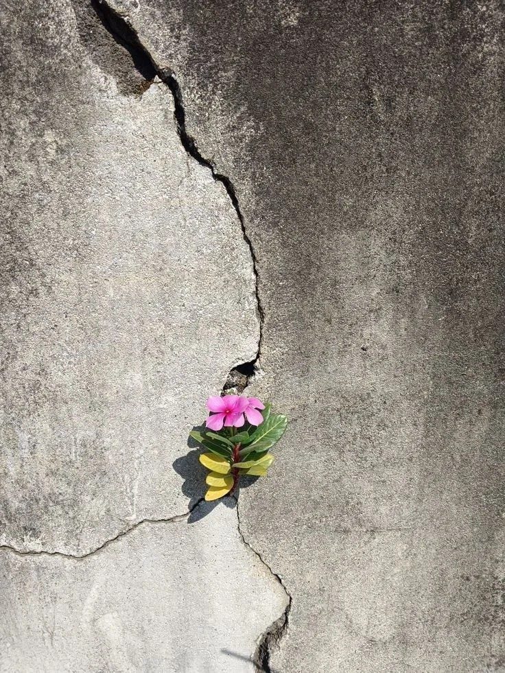 “Maybe you don't notice your progress because you're always raising the bar”